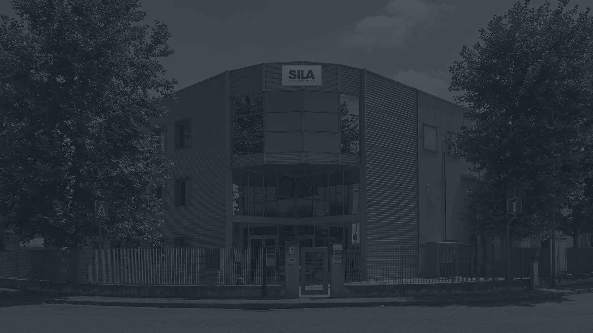 sila gallery 01